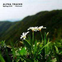 Alpha Tracks — Spring:2026