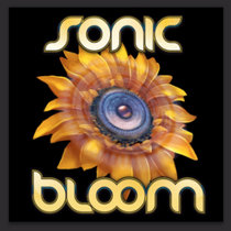 2015.06.19 :: Sonic Bloom :: Rye, CO cover art