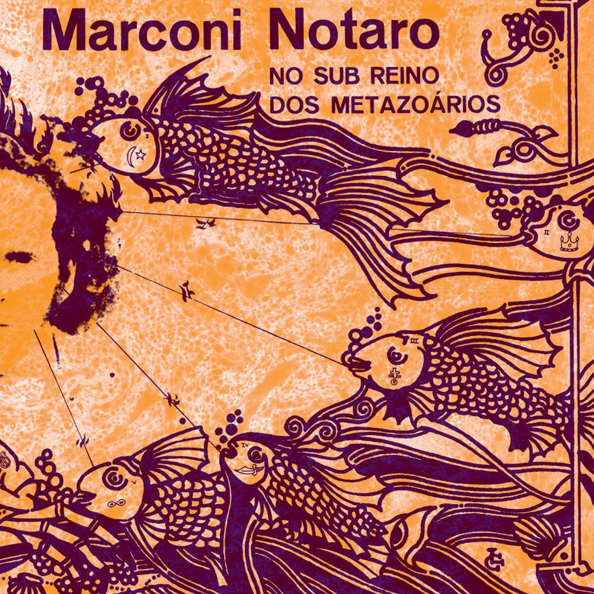 西LP Marconi Notaro No Sub Reino Dos zoarios FD029 Fatiado Discos /00260 No Sub Reino Dos Metazoários | Marconi Notaro | MR BONGO