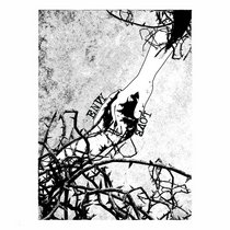 akutagawa dawn 未使用200枚限定デラックス盤レコード DK138: Akutagawa - Dawn LP | Akutagawa | Dog Knights Productions