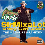 Sir Mix-A-Lot - Baby Got Back - The Mash Ups & Remixes