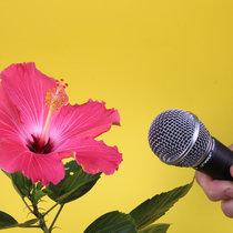 Here Comes The Sun (demo) cover art