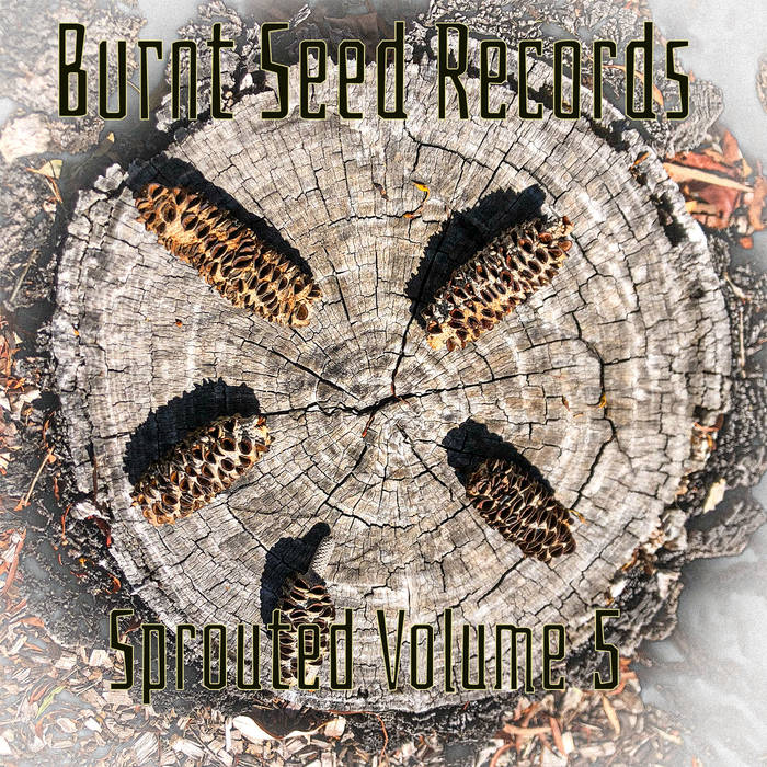 Burnt Seed Records (Various Artists) - Sprouted Volume 5 album artwork
