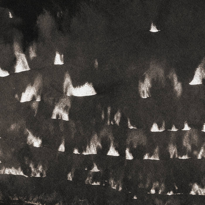Fields Within Fields | Heavy Winged | Three Lobed Recordings