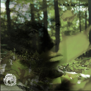 A Forest cover