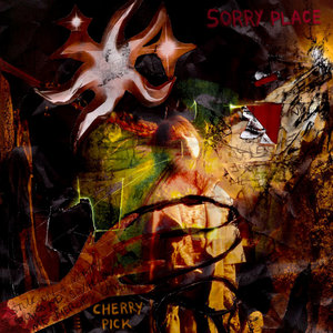 sorry place cover