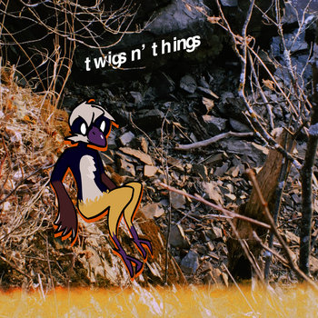 small album art for twigs n things