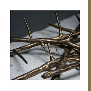 De Doorn (Alternate Mix) cover