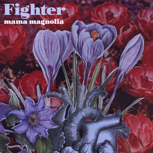 Fighter cover