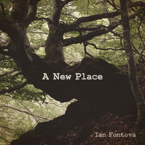 A New Place cover