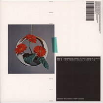 Polygonia, Simon Popp — Benbut