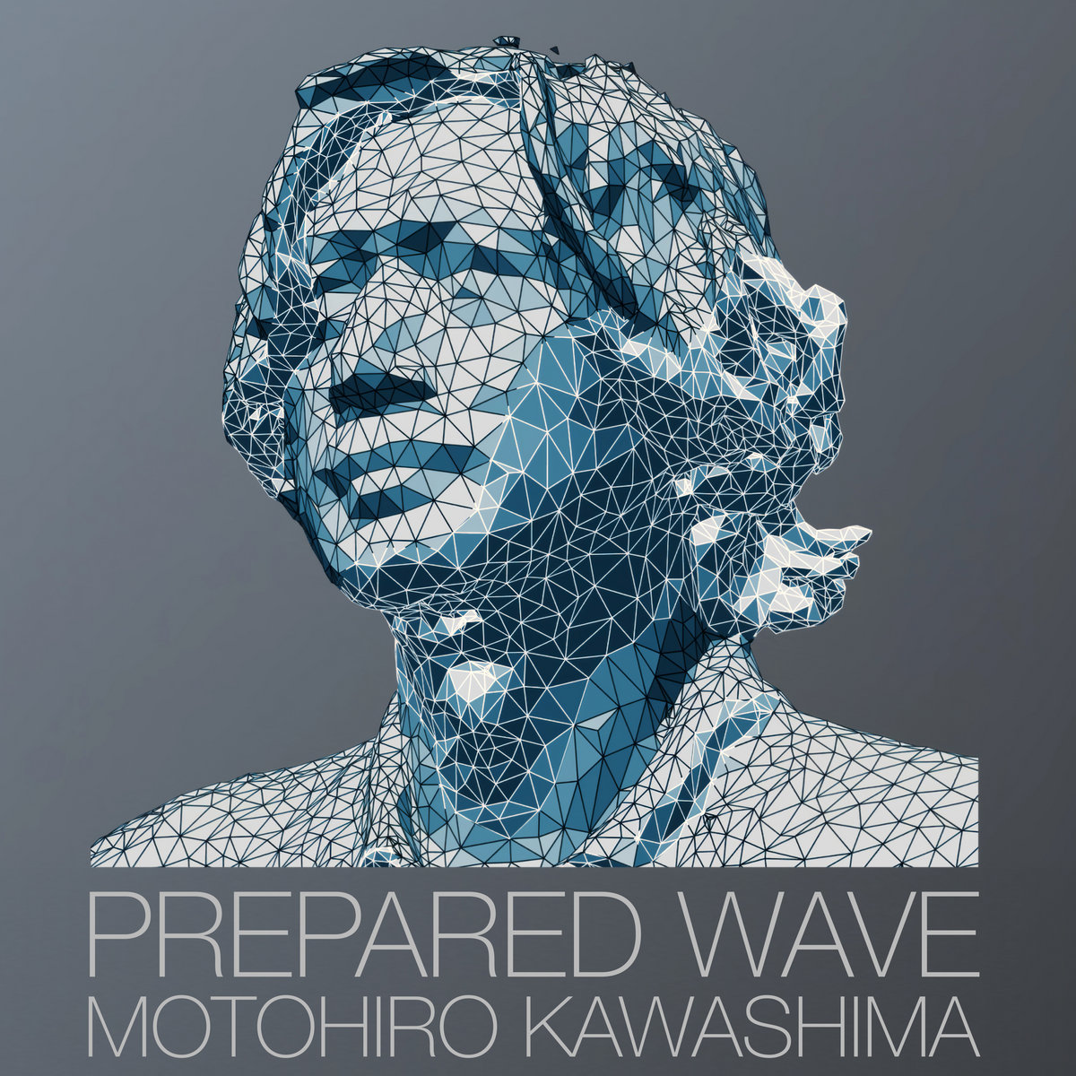 Prepared Wave | Motohiro Kawashima | Motohiro Kawashima（川島基宏）