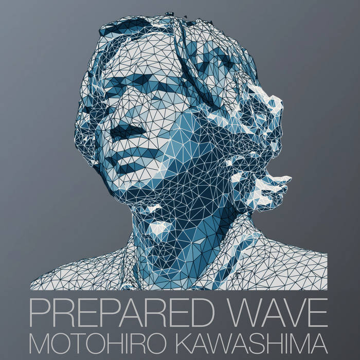 Prepared Wave | Motohiro Kawashima | Motohiro Kawashima（川島基宏）