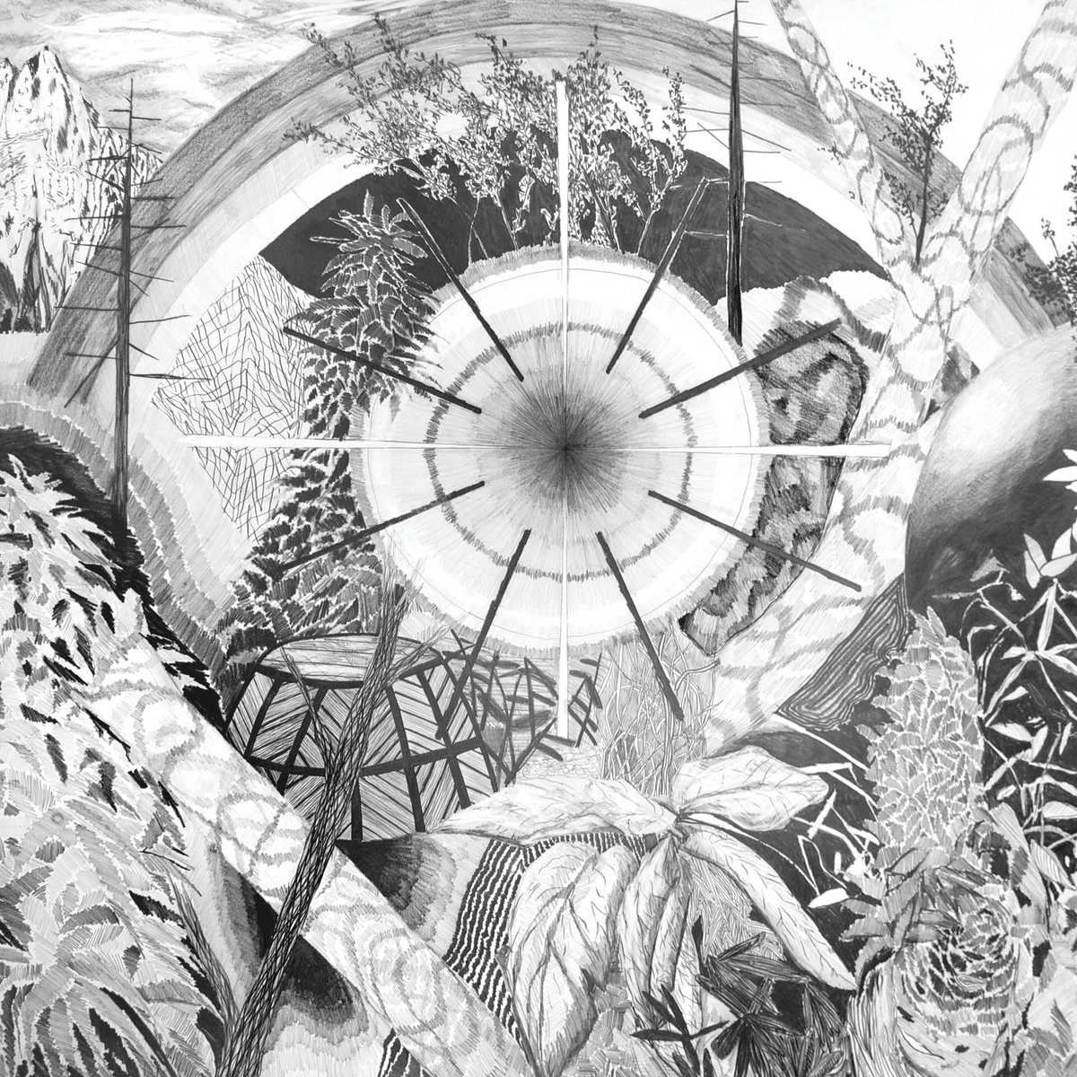 It S Nearly Over Thee Oh Sees Osees It S Nearly Over Thee Oh Sees Osees