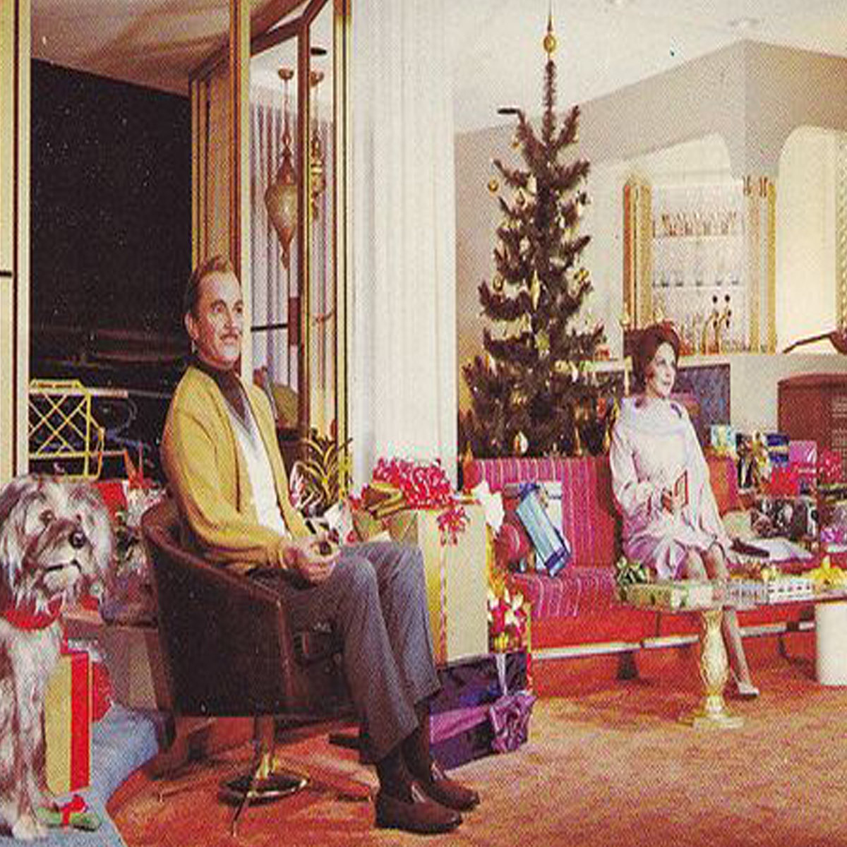 christmas lights (paul baribeau) happy to see you