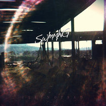 Old Flame Records — Swimming - Feel Not Bad