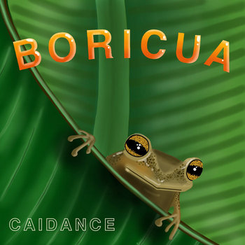 Cover art for Boricua