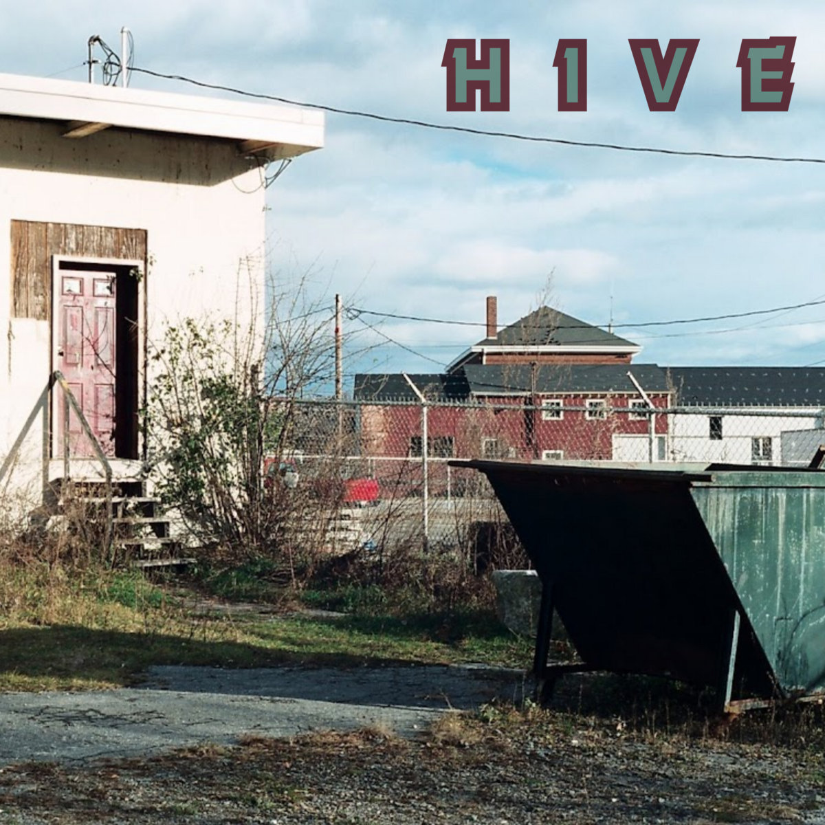 Hive