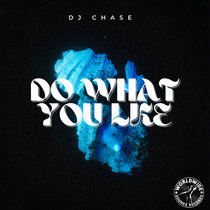 DJ Chase - Do What You Like cover art