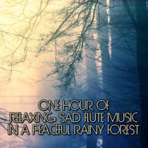 Relaxing Sad Flute Music in a Peaceful Rainy Forest cover art