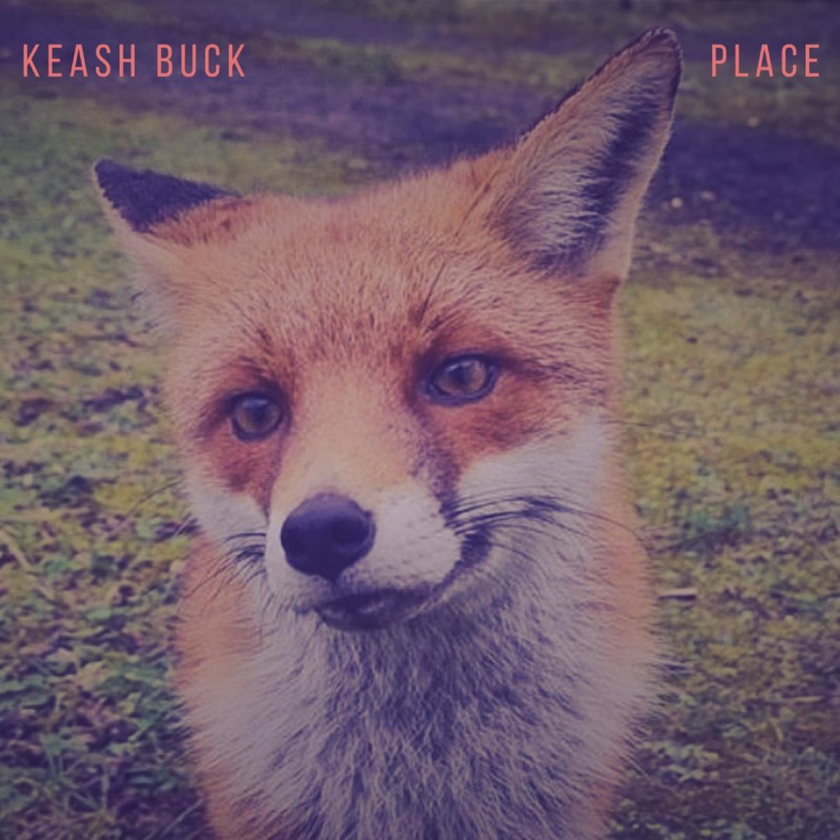 Place cover