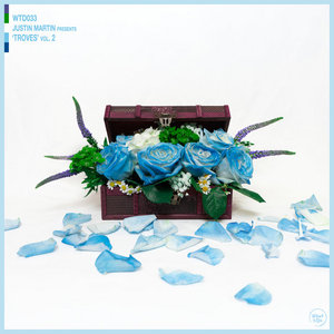 Justin Martin presents: Troves Vol.2 cover