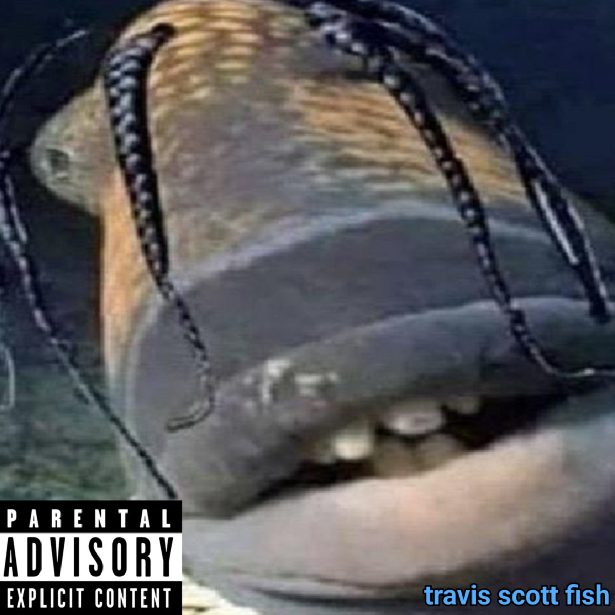 Travis Scott Rfish TRAVIS SCOTT FISH | NELSON & travis scott fish | NELSON