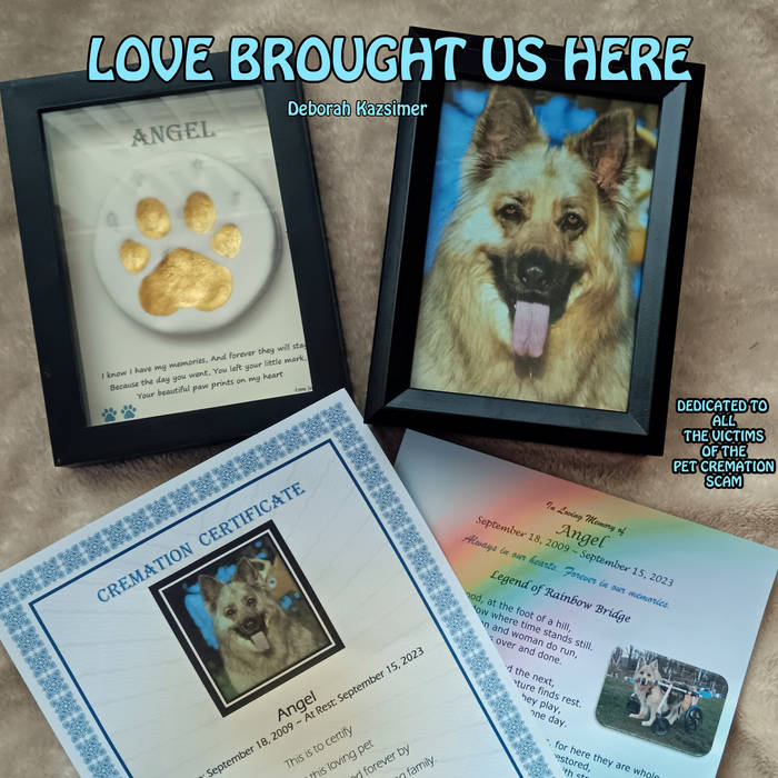 It's Gotta Stop: The Animal Abuse Song Deborah Kazsimer