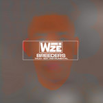 wiley edit (Instrumental)