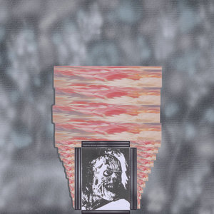 Section 60 cover