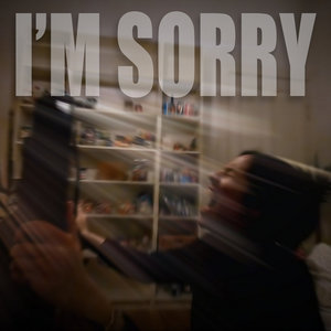 I'm Sorry cover