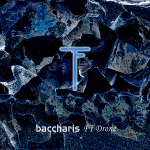 FT DroneBaccharis cover