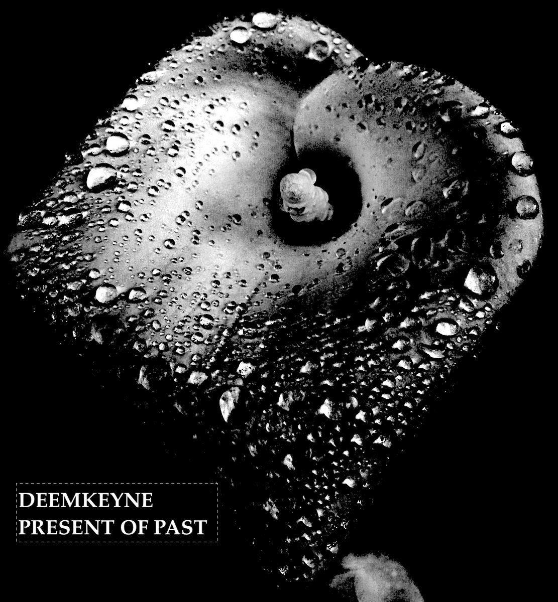 Present Of Past Deemkeyne