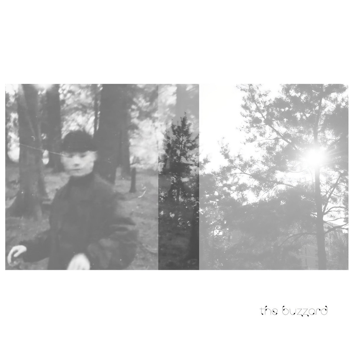 The Buzzard cover