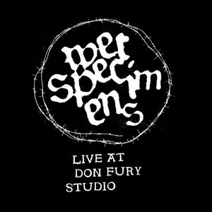 Live At Don Fury Studio cover