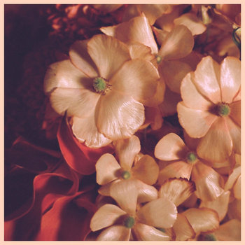 The Wild Joy | Duchamp | Ramble Records