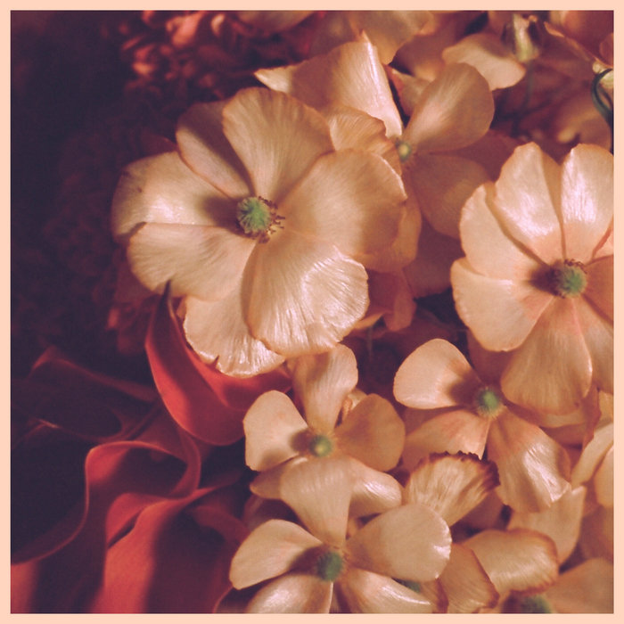 オリジナル英盤ミント‼︎SHADES OF JOY / Shades Of Joy The Wild Joy | Duchamp | Ramble Records