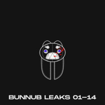 BUNNUB LEAKS 01 cover art