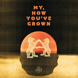 My, How You've Grown cover