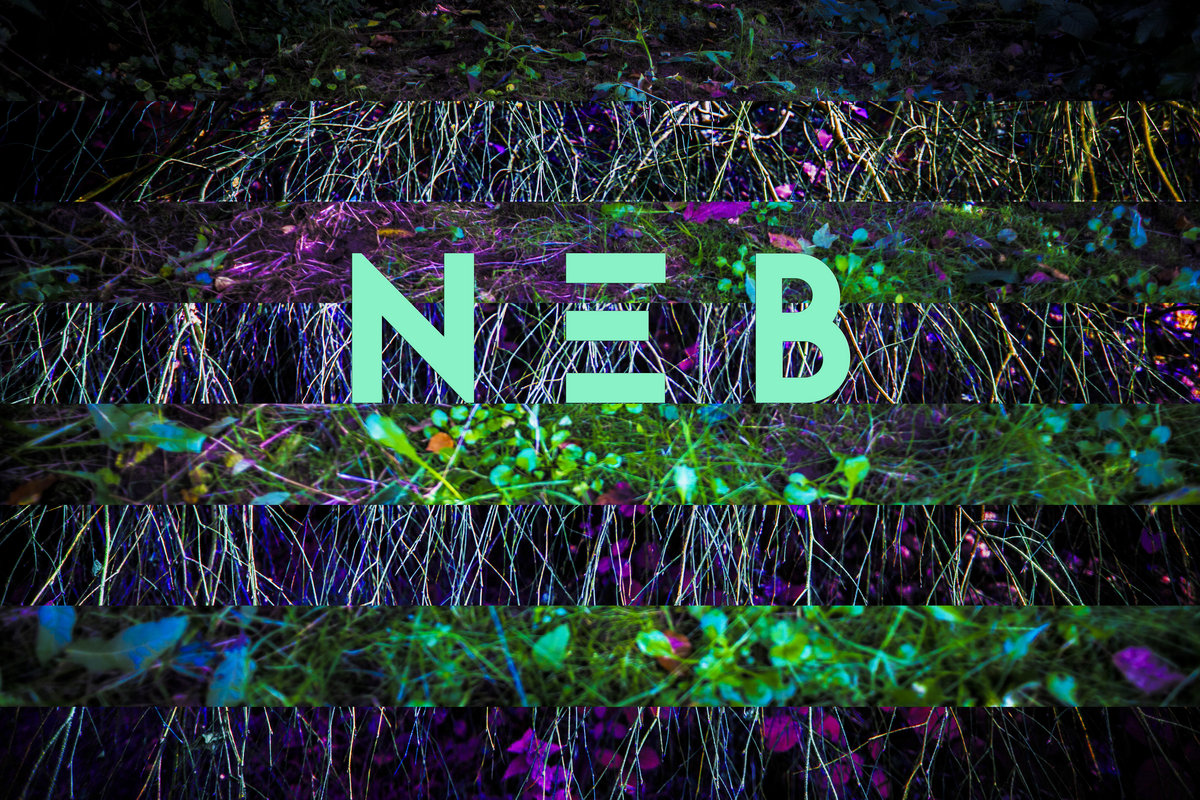 NEB E.P. cover