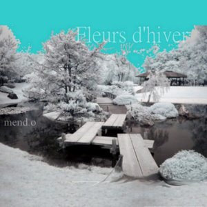 Fleurs D'Hiver cover