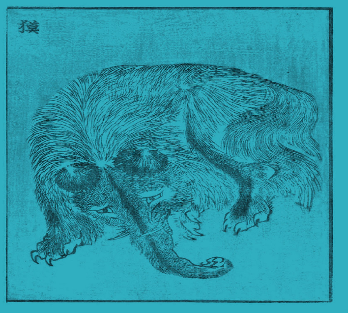Baku - 獏 | SIF343 | Silentium in Foresta Records