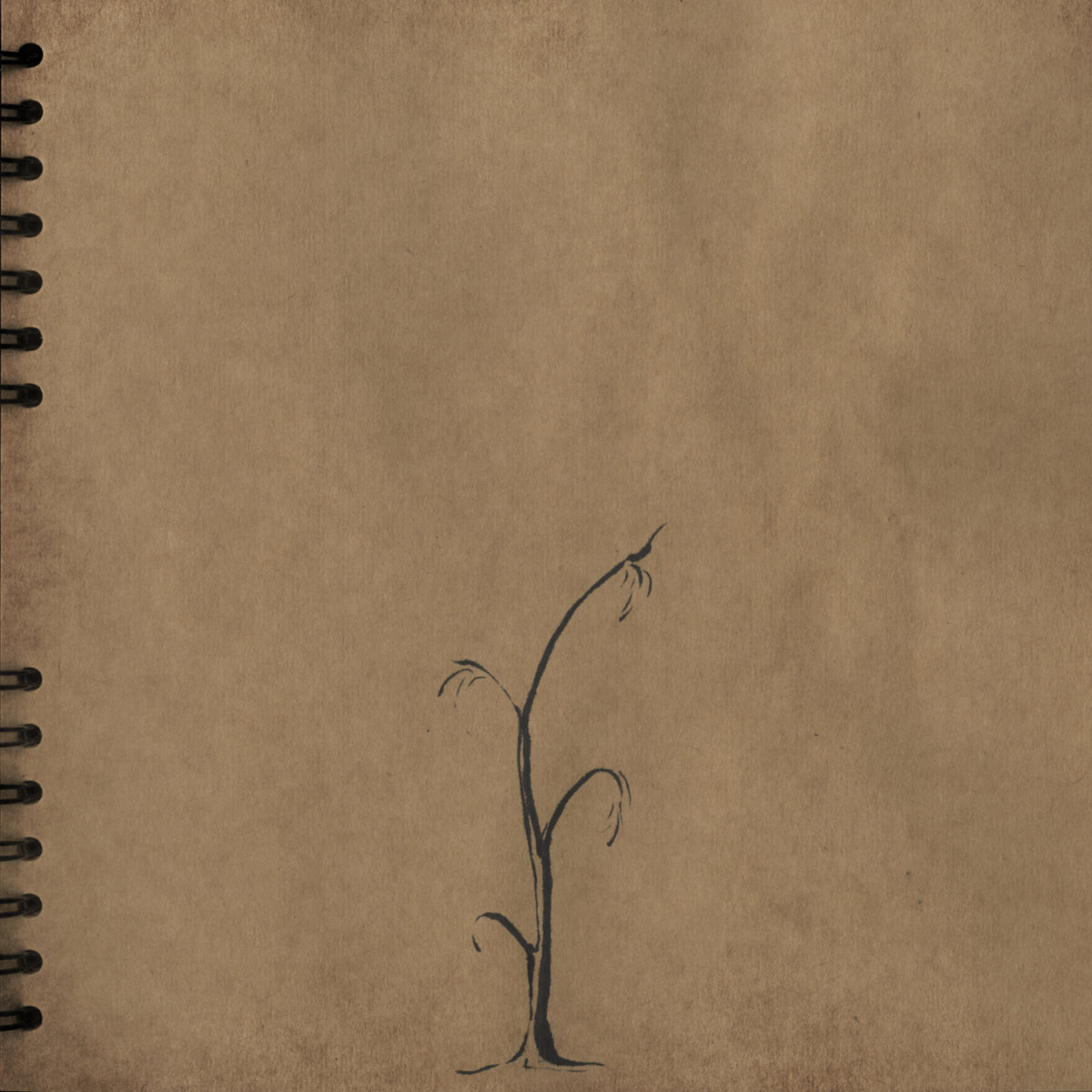 fragile delusion cover
