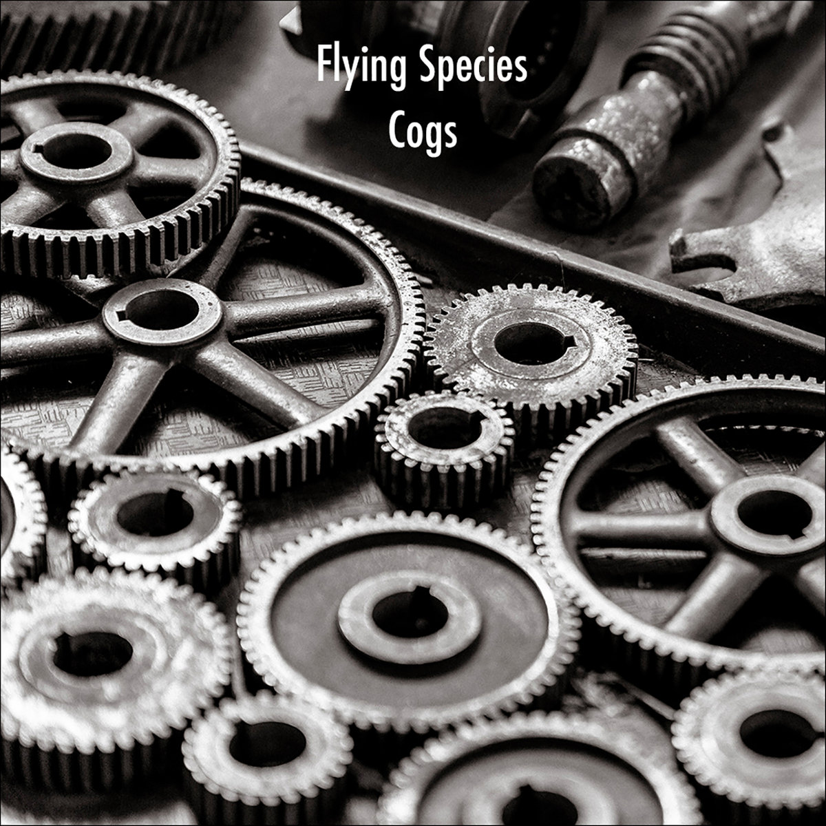Cogs [EP] | Flying Species