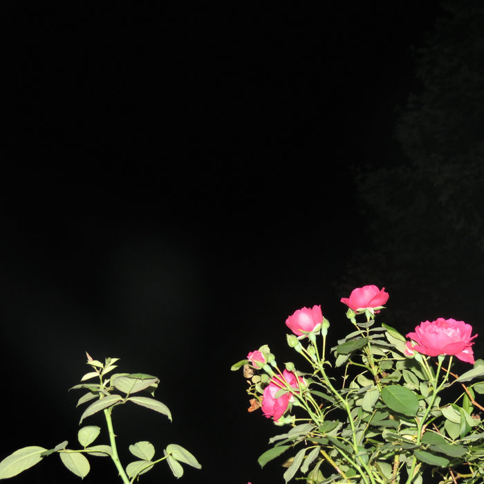 Love Covers wallbaby