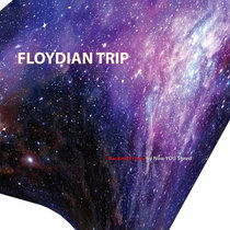 Floydian Trip - Backing Tracks for All Instruments cover art