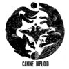 CANINE / DIPLOID - split 7" Cover Art