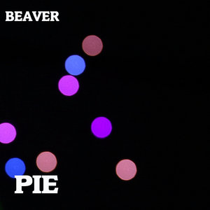 Pie cover