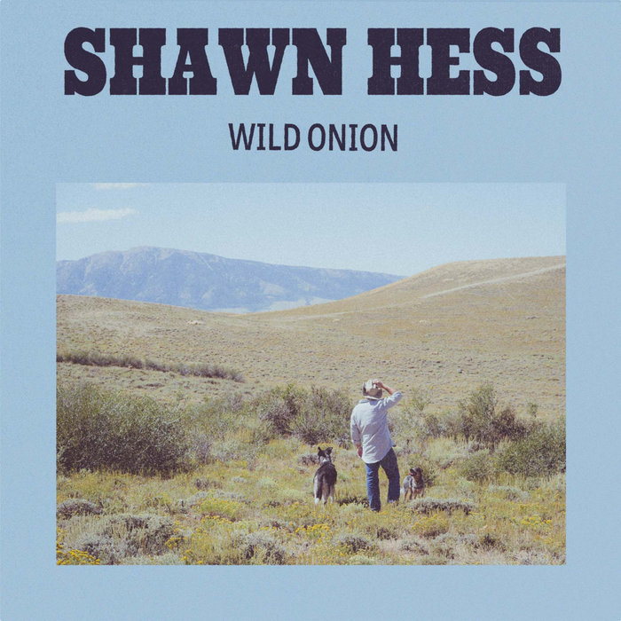Wild Onion Shawn Hess