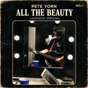 All The Beauty (Acoustic Version) cover